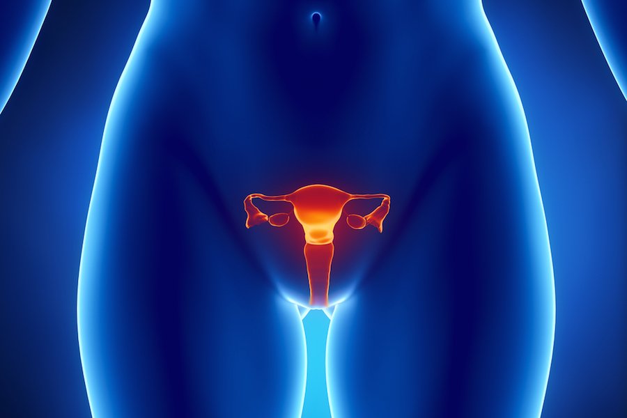 трихомонадный вагинит у женщин